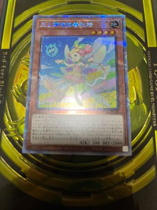 丘と芽吹の春化精