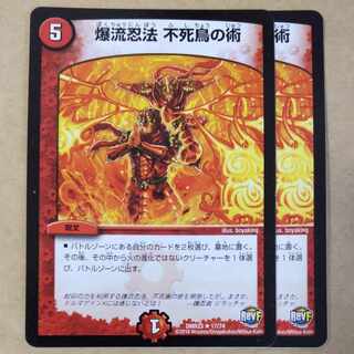 Bakuryu Ninpo Phoenix Technique 2 pieces