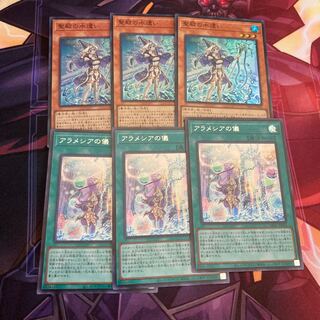 聖殿の水遣い　アラメシアの儀シークレットセット