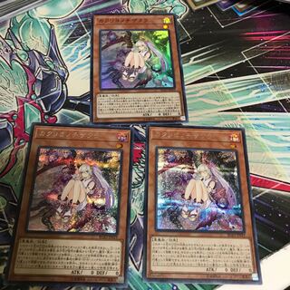 カクリヨノチザクラ シク2枚 スーパー１