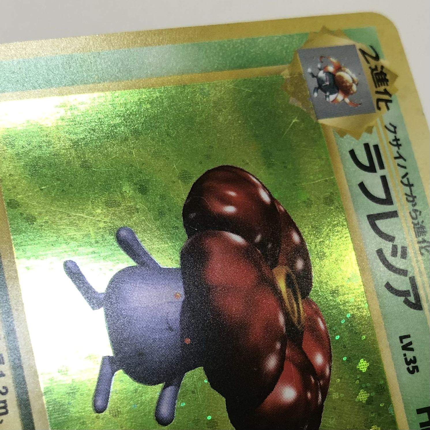 Pocketka Old back Venomoth Vileplume Victreebel