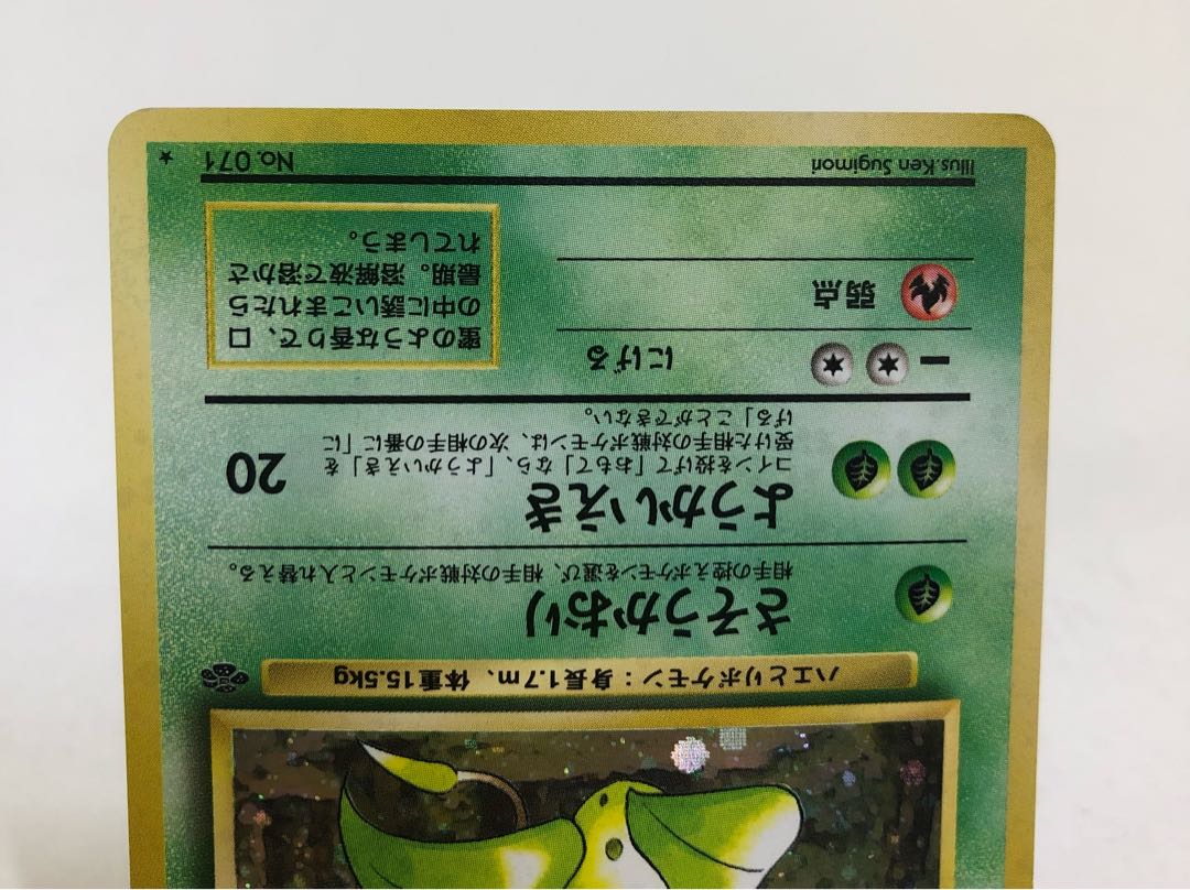 Pocketka Old back Venomoth Vileplume Victreebel