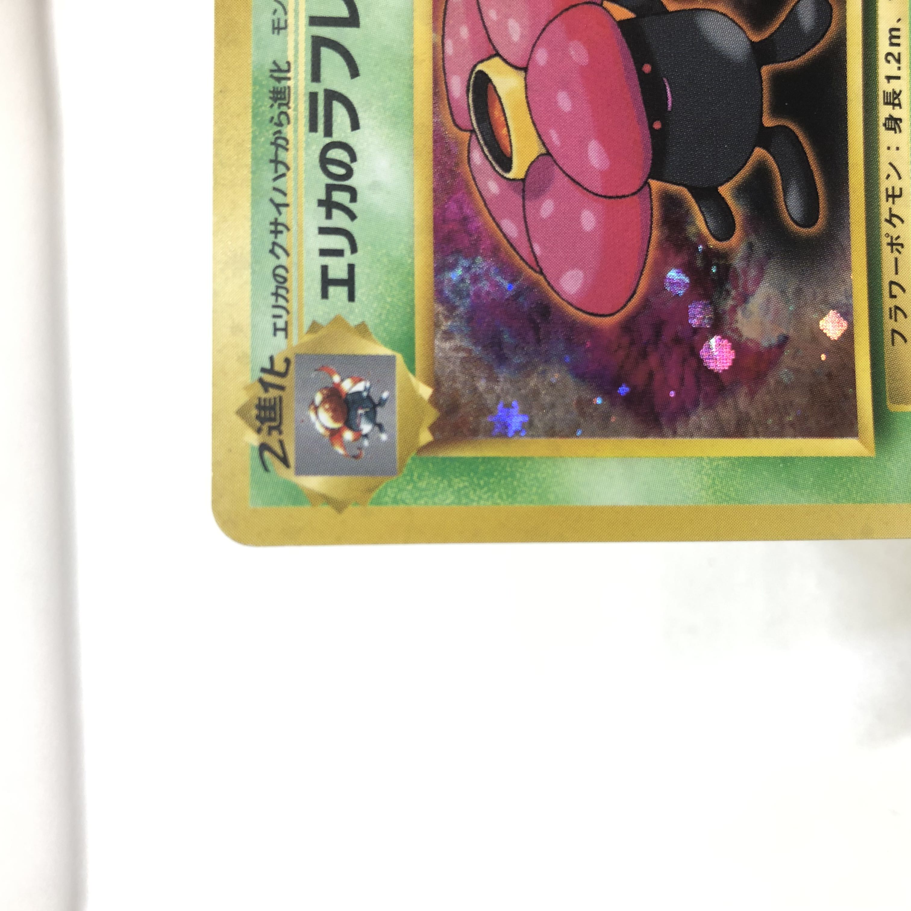 Pocketka Old Back: Erika's Vileplume Vileplume 2 pieces