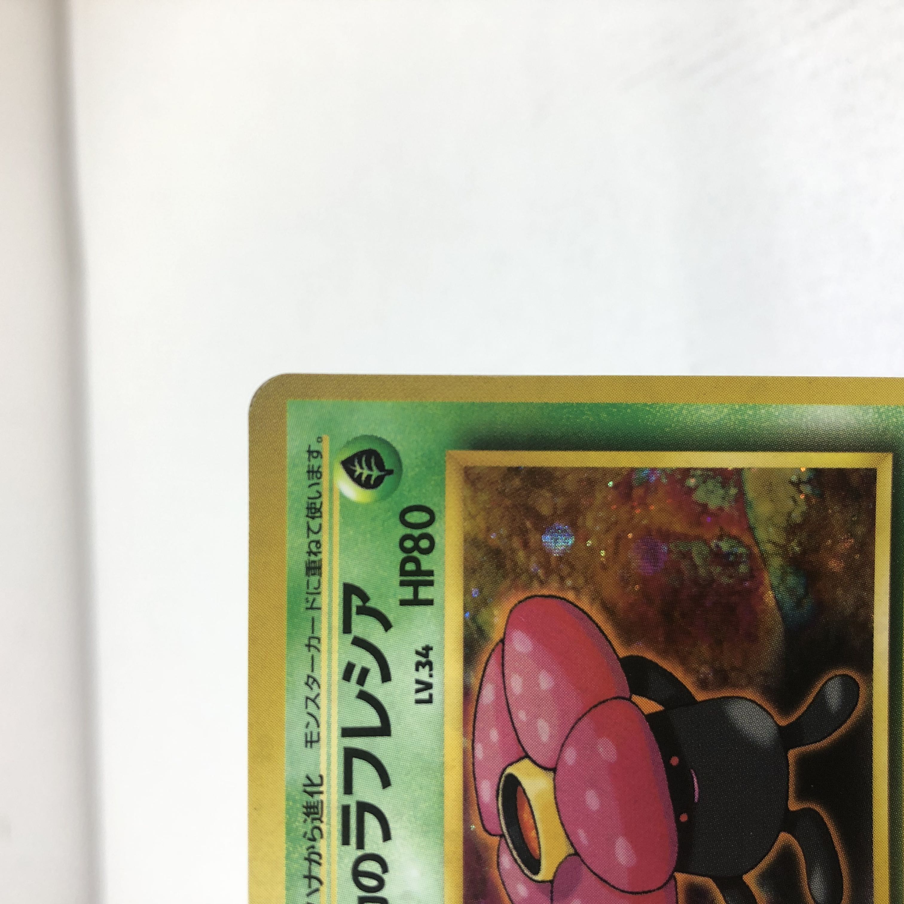 Pocketka Old Back: Erika's Vileplume Vileplume 2 pieces