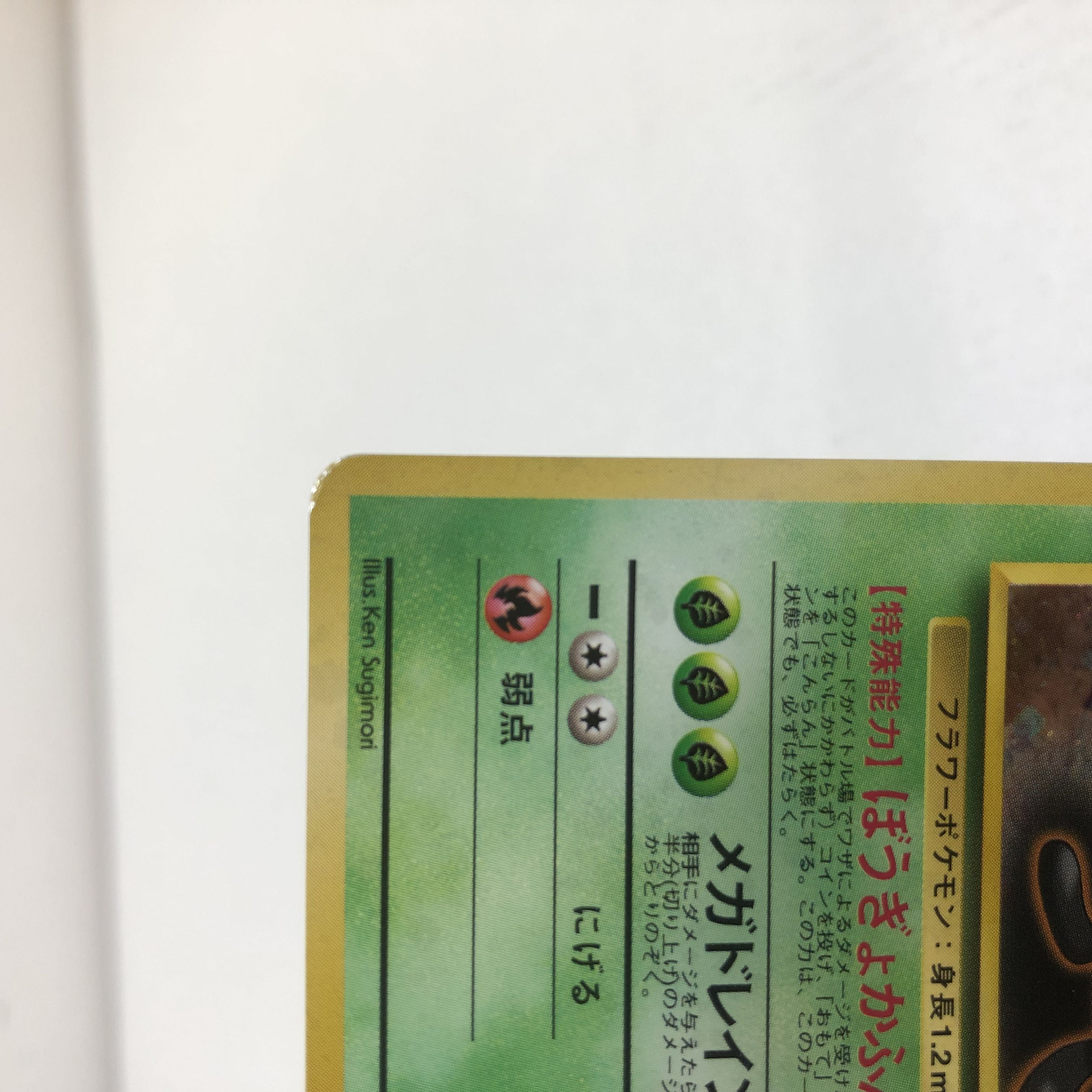 Pocketka Old Back: Erika's Vileplume Vileplume 2 pieces