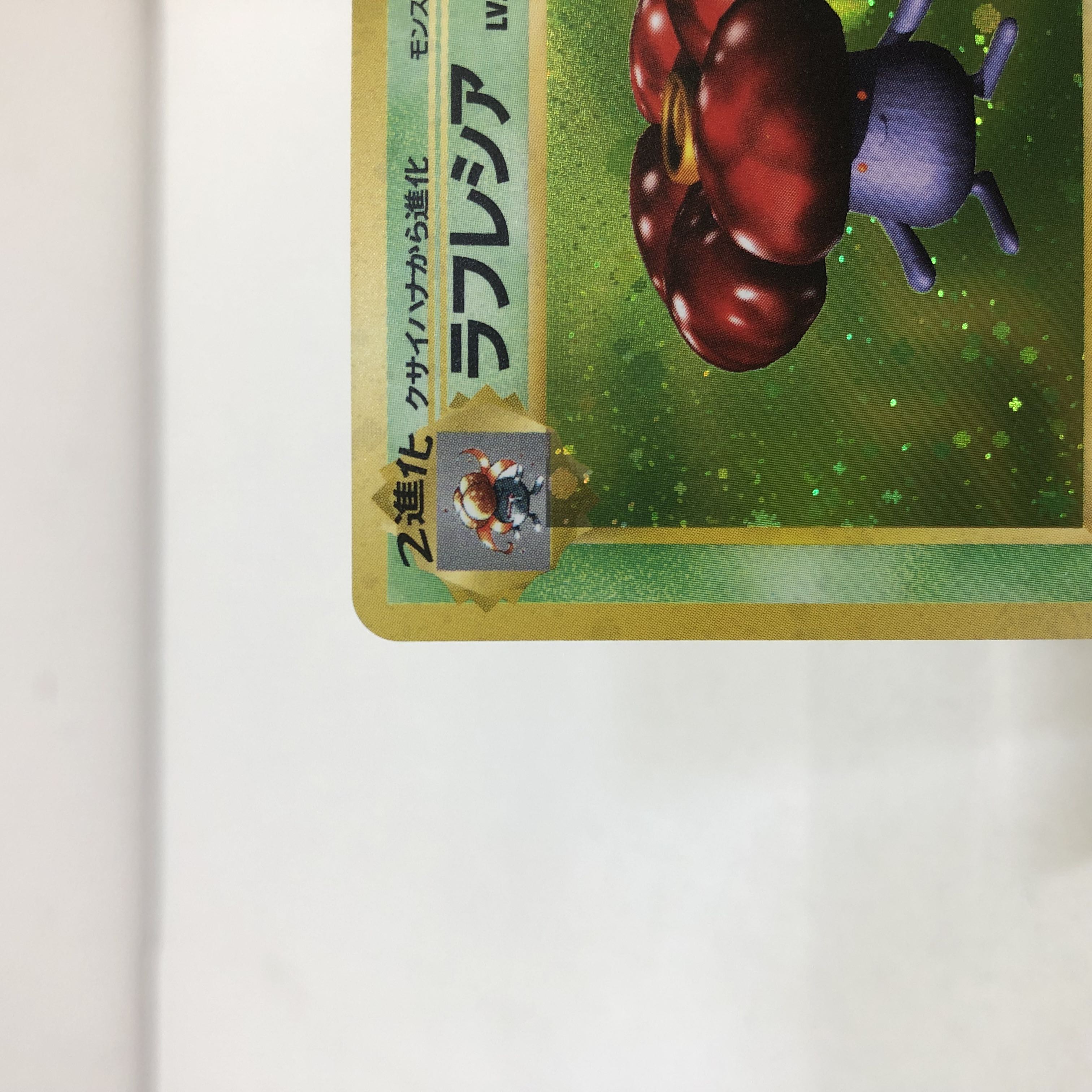 Pocketka Old Back: Erika's Vileplume Vileplume 2 pieces