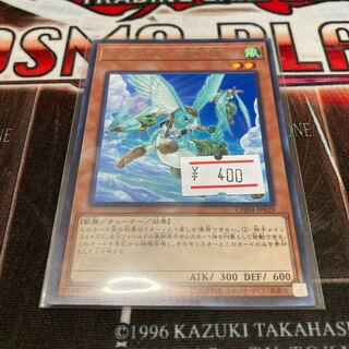 Hop Ear Squadron rare JP029 1 copy