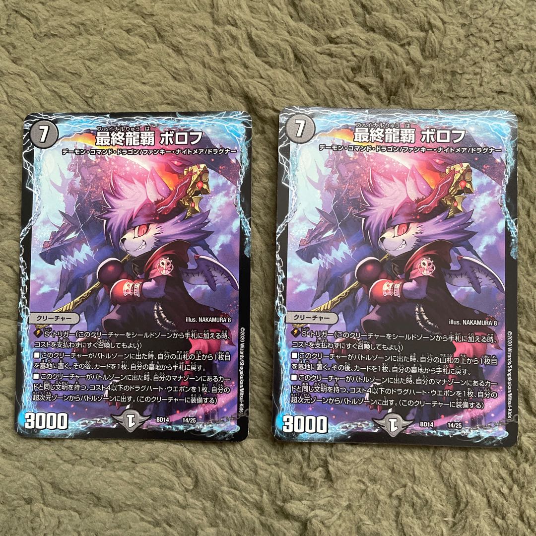 Final Dragon Heights Borov 14/25