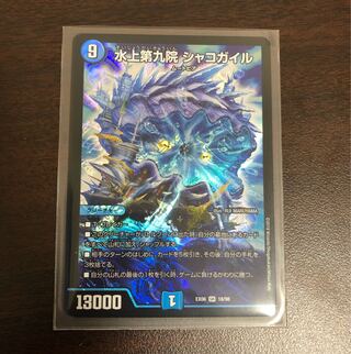 Waterjo Ninth Institute Shakogile SR 18/98