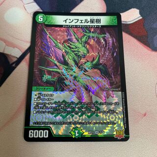 Infelix star tree (species of sedge, Infelix infelix)