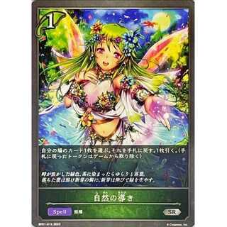 Nature's Guidance SR 2