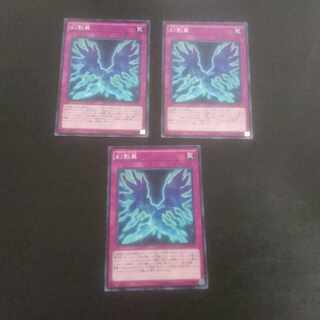 D105 Phantom Knights' Wing Normal JP011