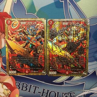 677720096様専用 罰怒ブランド 2枚