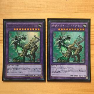 ナチュル・エクストリオ　2枚セット