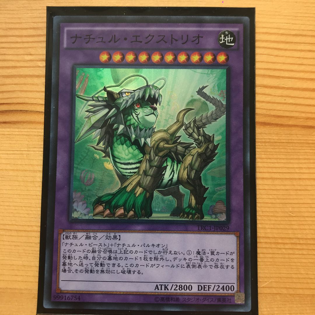 ナチュル・エクストリオ　2枚セット