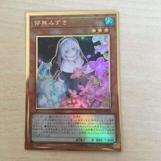 儚無みずき　プレミアムゴールド