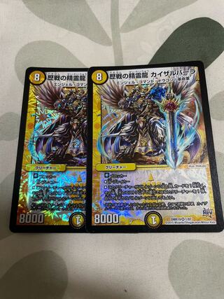 歴戦の精霊龍 カイザルバーラ　2枚