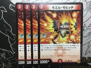 Moel Mohitch C 83/95