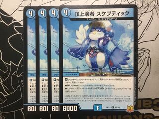 Summit performer Skeptic C 53/76