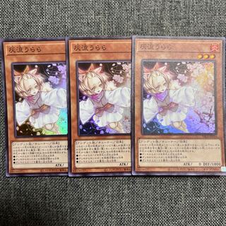 Ash Blossom & Joyous Spring Super Rare JP016