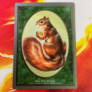 リス・トークン 4枚まで