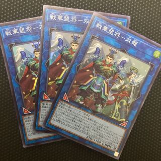 SENKAKU-YOUNG SUPER RARE JP048