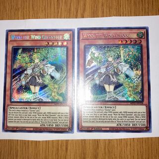 Wynn the Wind Channeler Secret Prisma English US edition of 2