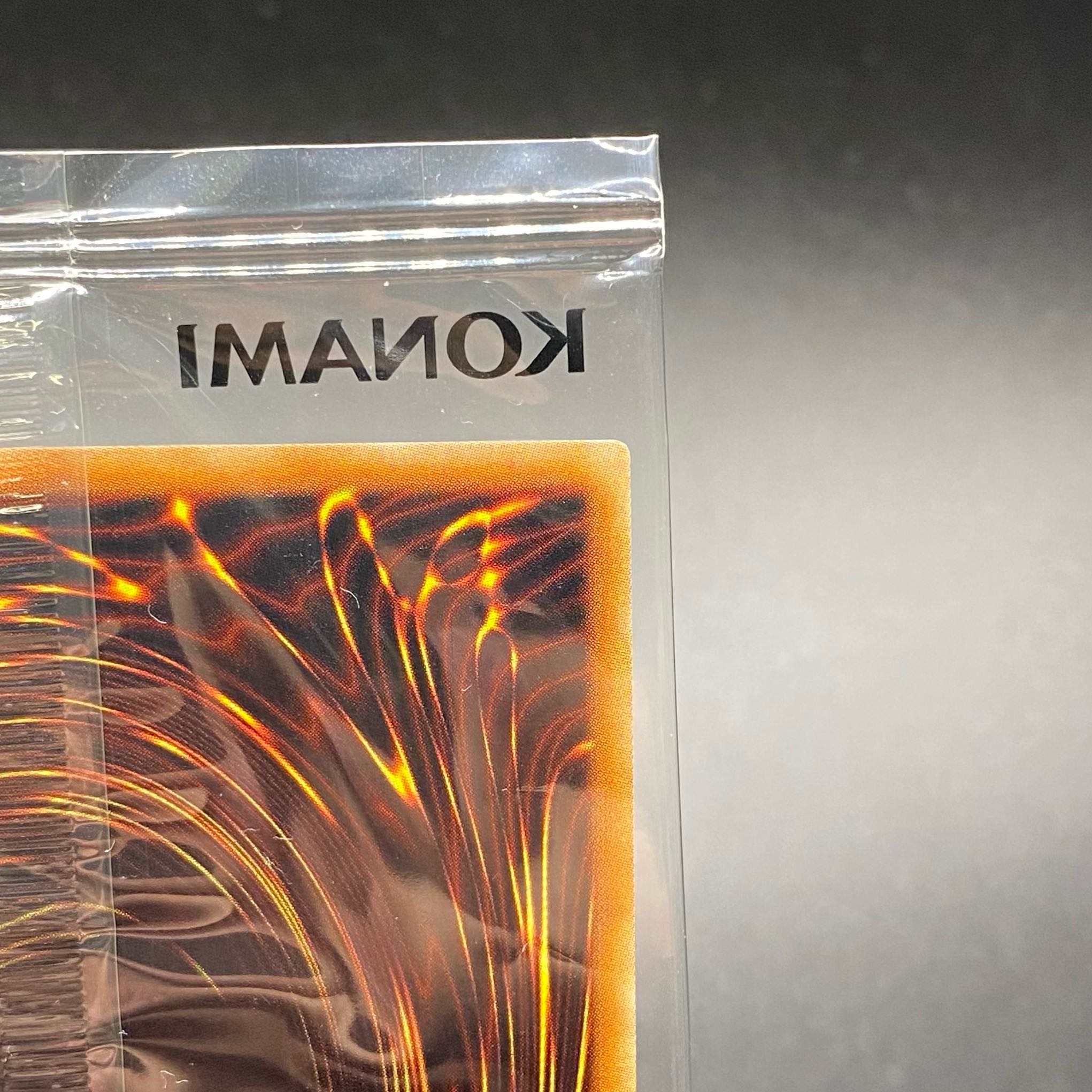 worldchampionsip2018（世界大会2018年記念プロモ） WCS2018 1枚