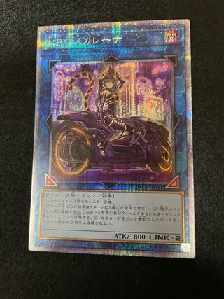 IP Mascarene (different picture)