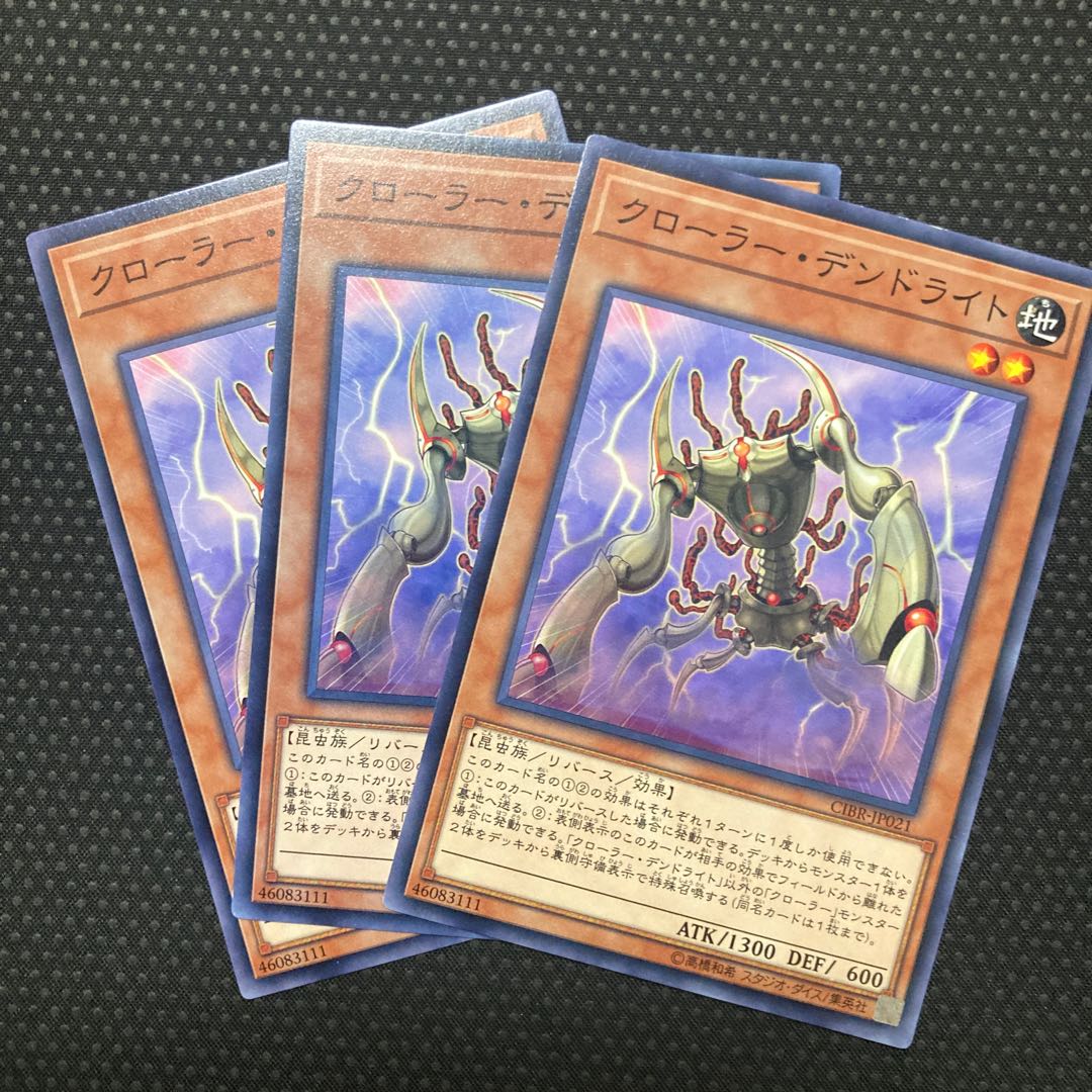 Krawler Dendrite Normal JP021 1枚