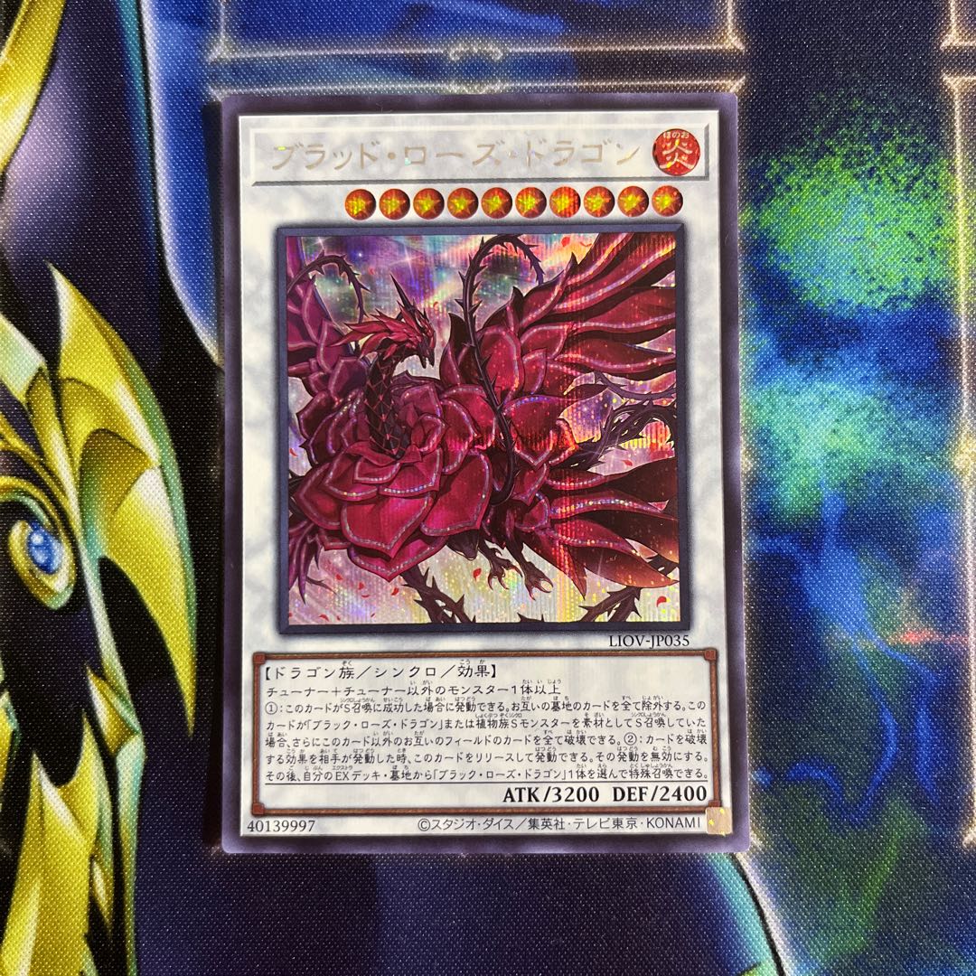 Ruddy Rose Dragon Secret Rare JP035
