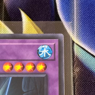 Mudragon of the Swamp Parallel Normal JP008 1枚