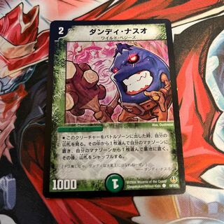 Dandy Naso C 19/19/Y5 1枚