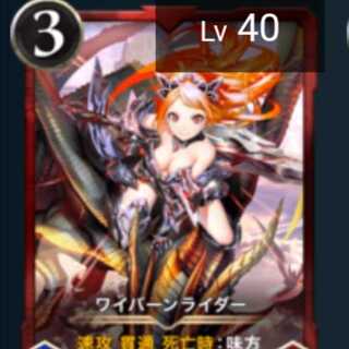 ワイバーンライダー 2枚 Lv45&Lv40