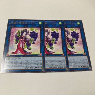 森羅の舞踏娘 ピオネ レア JP051