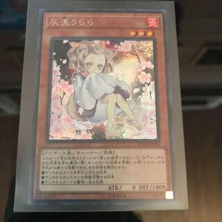 灰流うらら シク 最安値