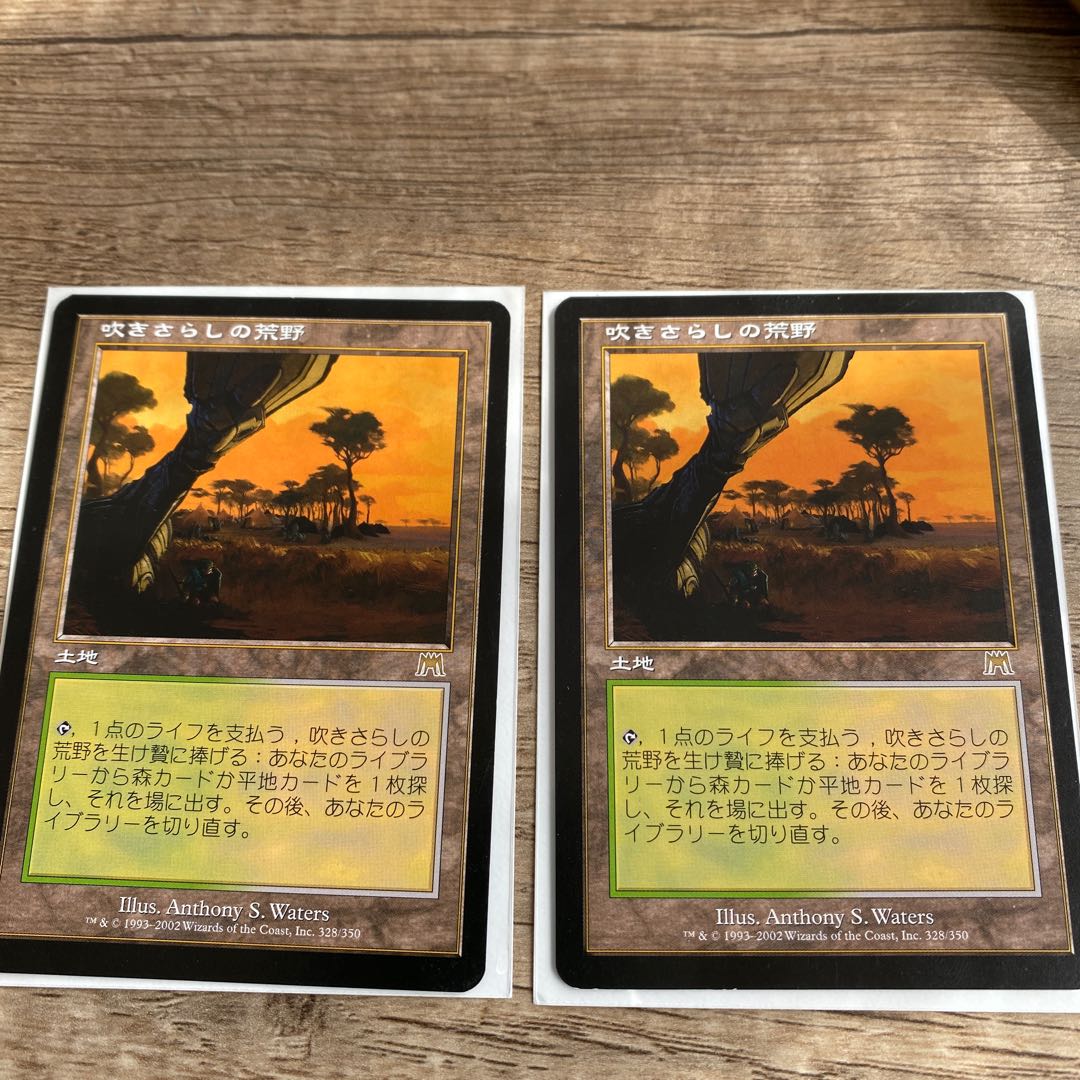 mtg Windswept Heath Set of 2
