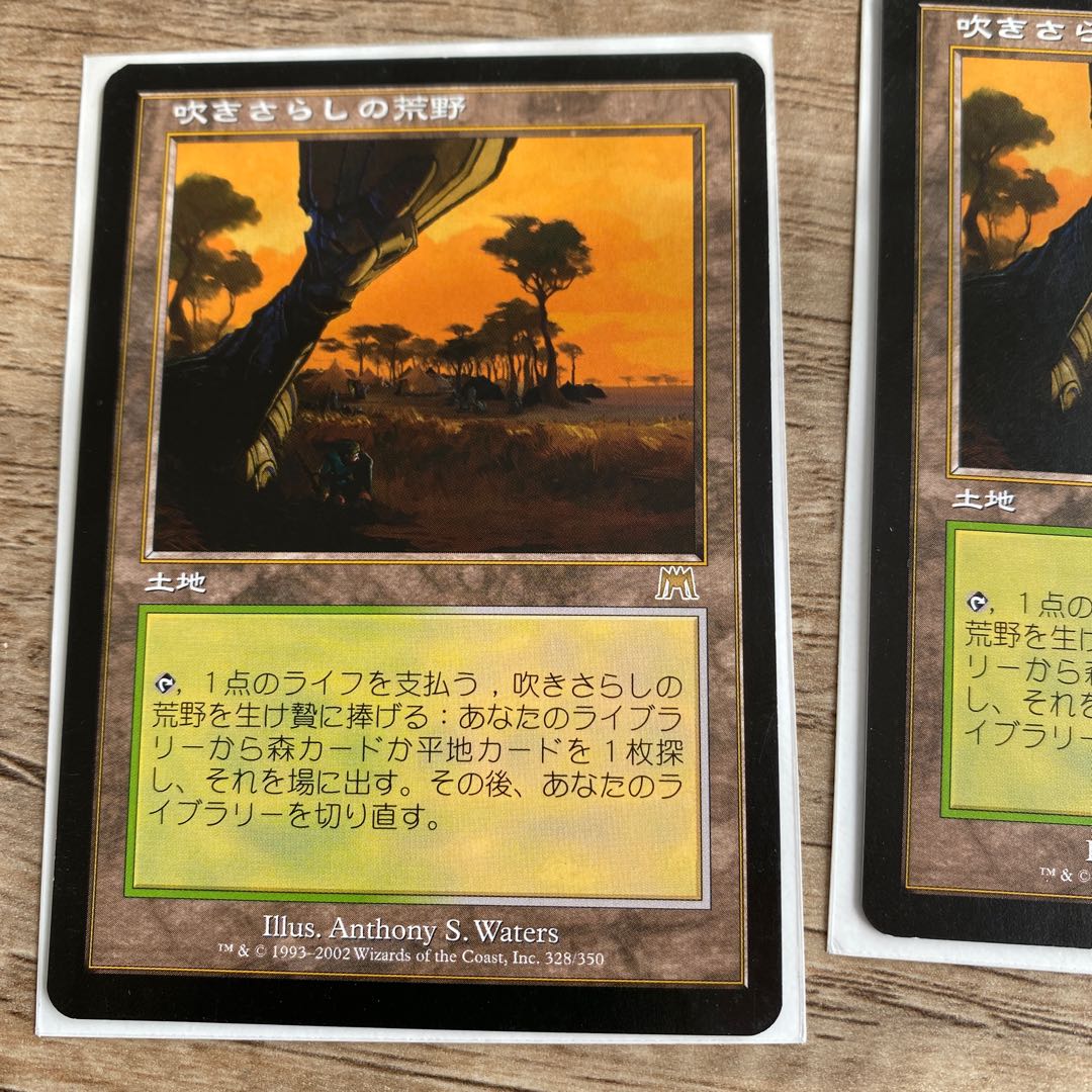 mtg Windswept Heath Set of 2