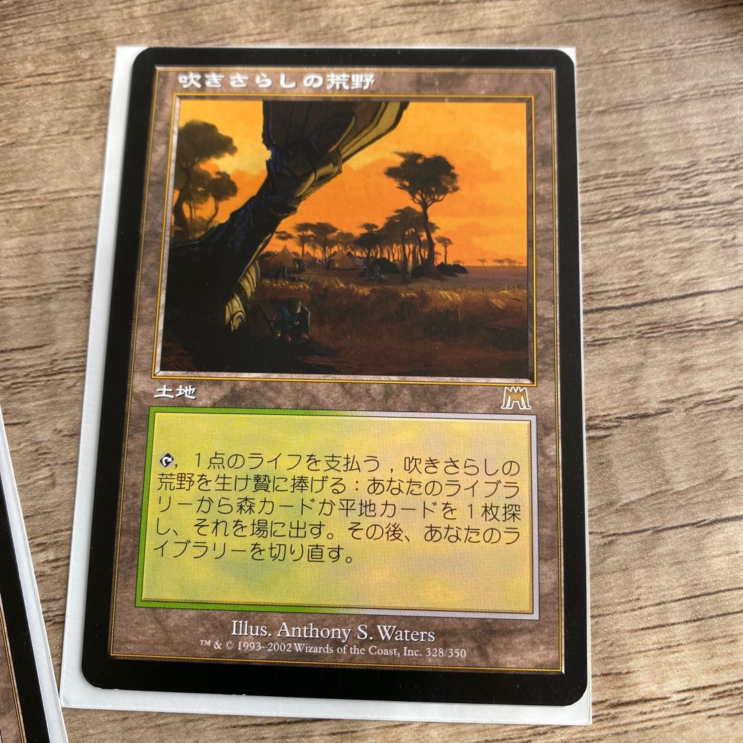mtg Windswept Heath Set of 2