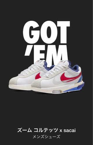 ナイキサカイコルテッツ 28.5cm