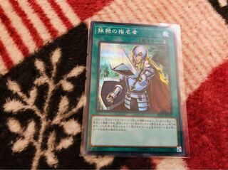 抹殺の指名者シク