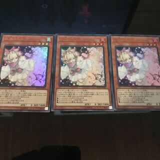 灰流うらら 本日限定値下げ