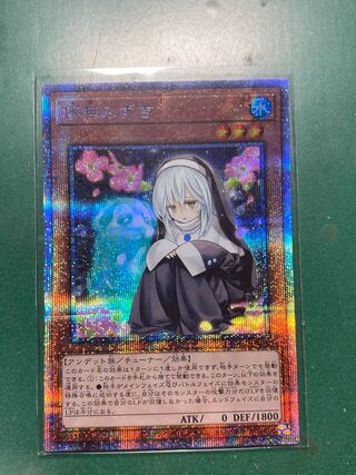 Very beautiful Ghost Sister & Spooky Dogwood Prissik Prismatic Secret 1 copy