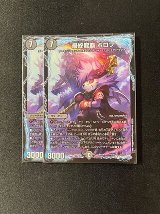 Final Dragon Heights Borov 14/25