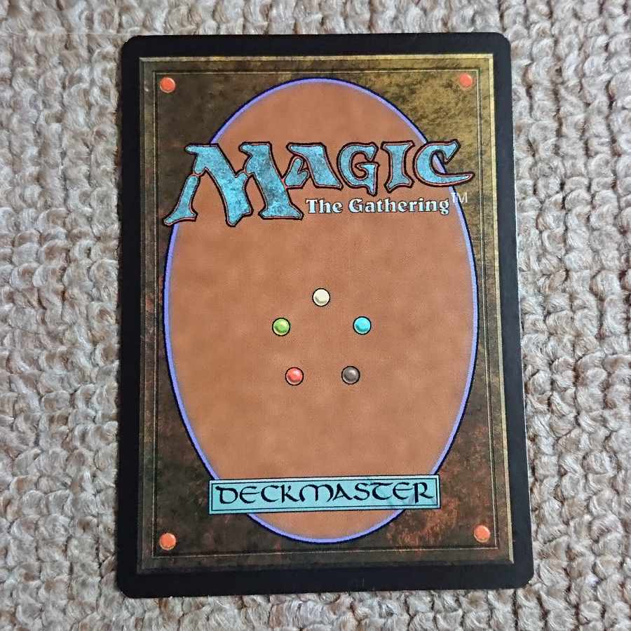 MTG Snow-Covered Island Snow-Covered Island
English Foil