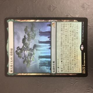 MTG The One Who Endures, Mother Sacred Tree Foil