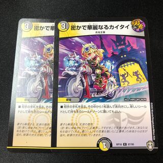 Secret and Splendid Kaitai C 87/95 2 sheets