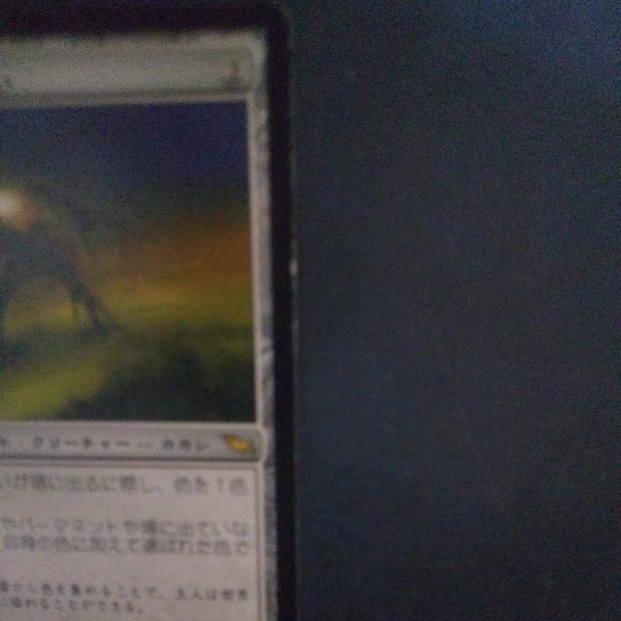 Painter's Servant Rare 257/301 puer