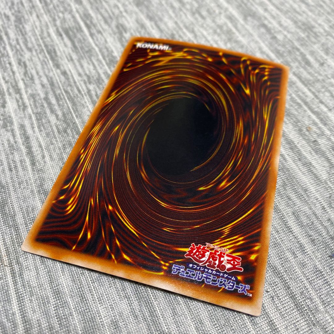 blackdemons dragon (Chrysocyon brachyurus)