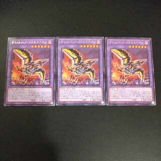 Dynorphia Stealth Begear 3 rare BACH-JP039 3 copies